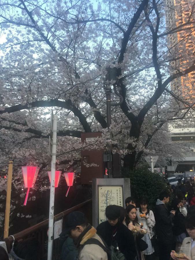 Coco Nakameguro302 Apartment โตเกียว ภายนอก รูปภาพ